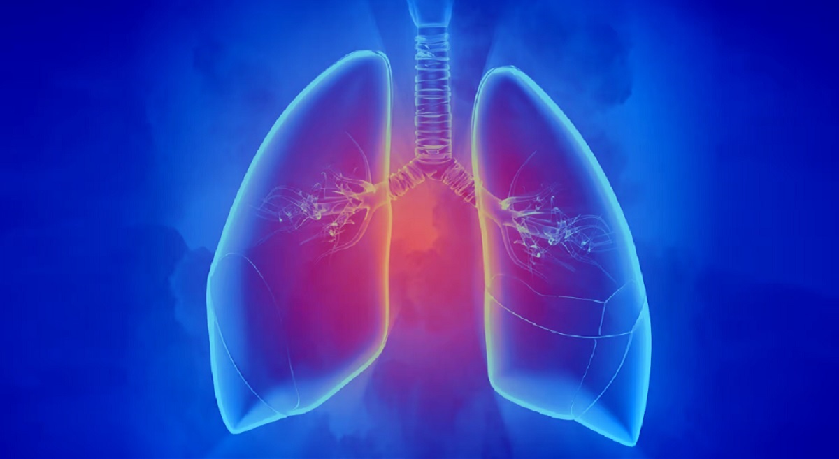 High-Resolution Thoracic Imaging